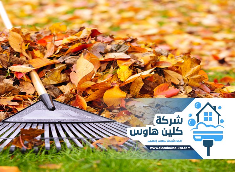 شركة تنظيف احواش بالمدينة المنورة