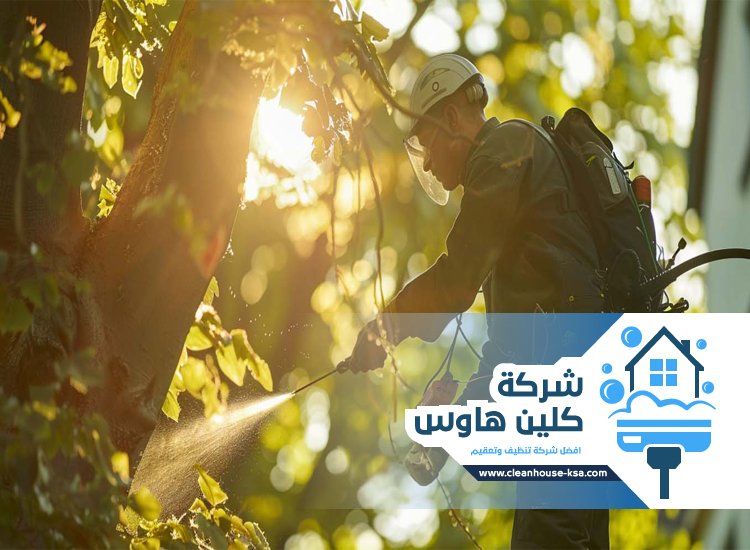 شركة تعقيم بالمدينة المنورة