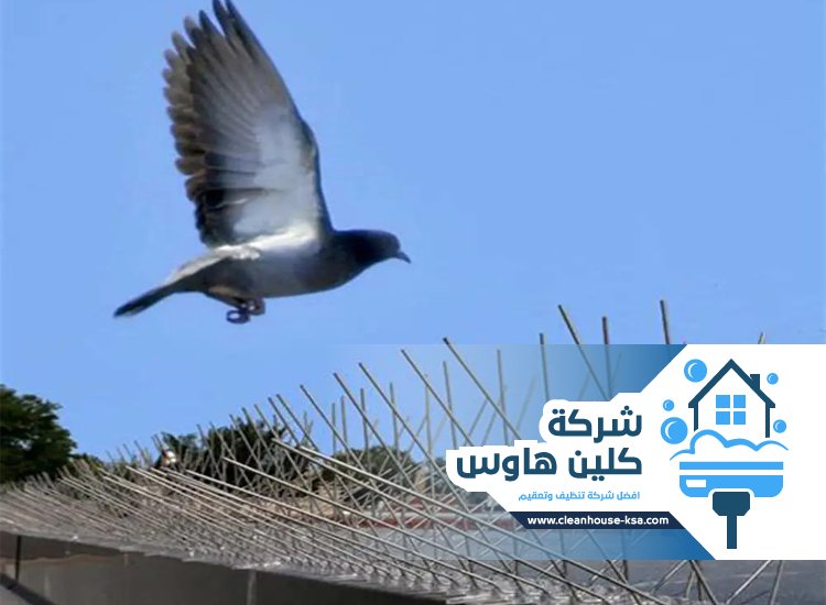 شركة تركيب طارد حمام بالمدينة