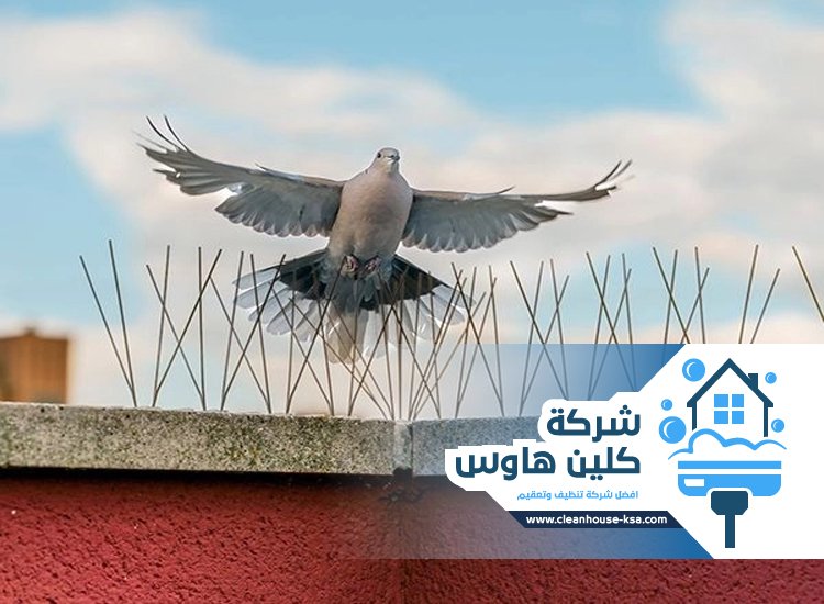 شركة تركيب طارد حمام بالمدينة