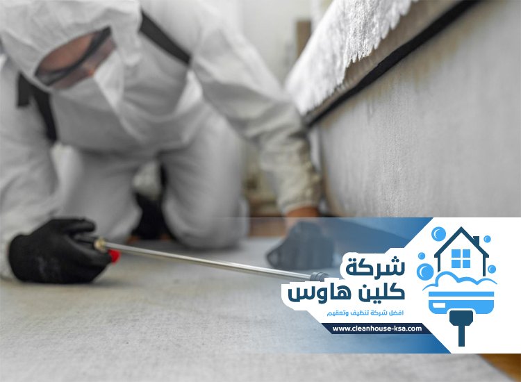 شركة مكافحة حشرات حي العزيزية