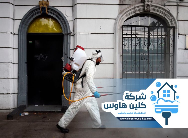 شركة مكافحة حشرات حي العنابس