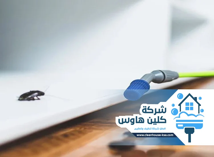 شركة مكافحة حشرات حي المستراح