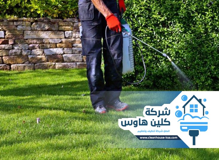 شركة مكافحة حشرات حي قباء