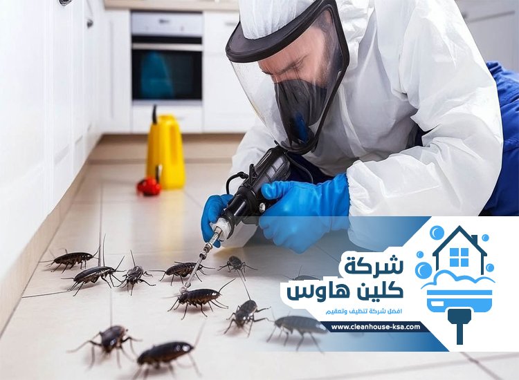 شركة مكافحة حشرات حي قباء