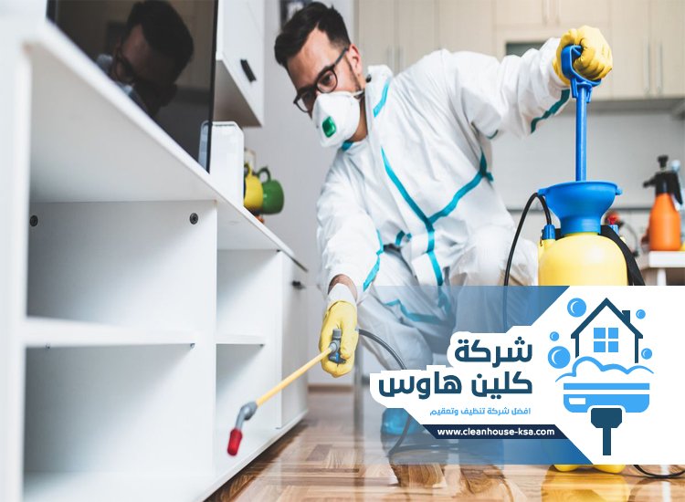 شركة مكافحة حشرات حي سيد الشهداء
