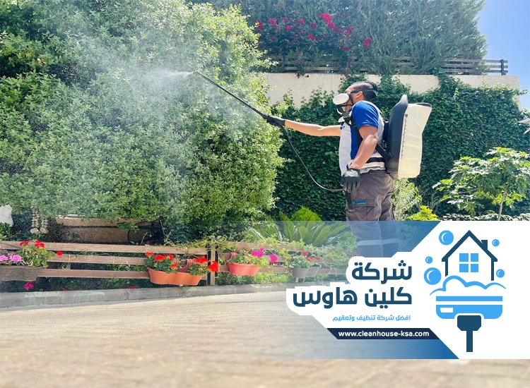 شركة مكافحة حشرات حي الربوة