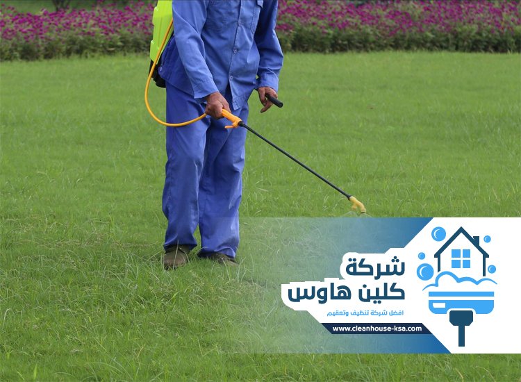 شركة مكافحة حشرات بحي الملك فهد