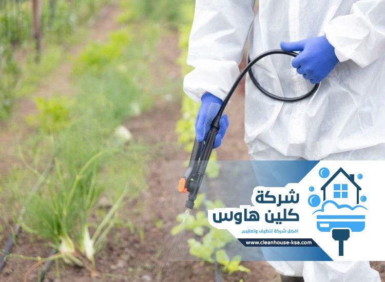 شركة مكافحة حشرات بحي القصوة