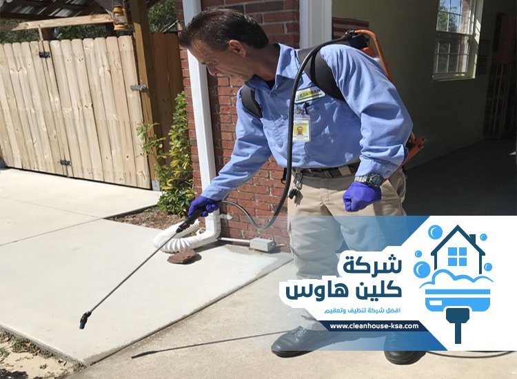 شركة مكافحة حشرات بحي السلام
