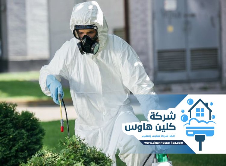 شركة مكافحة حشرات بحي العزيزية