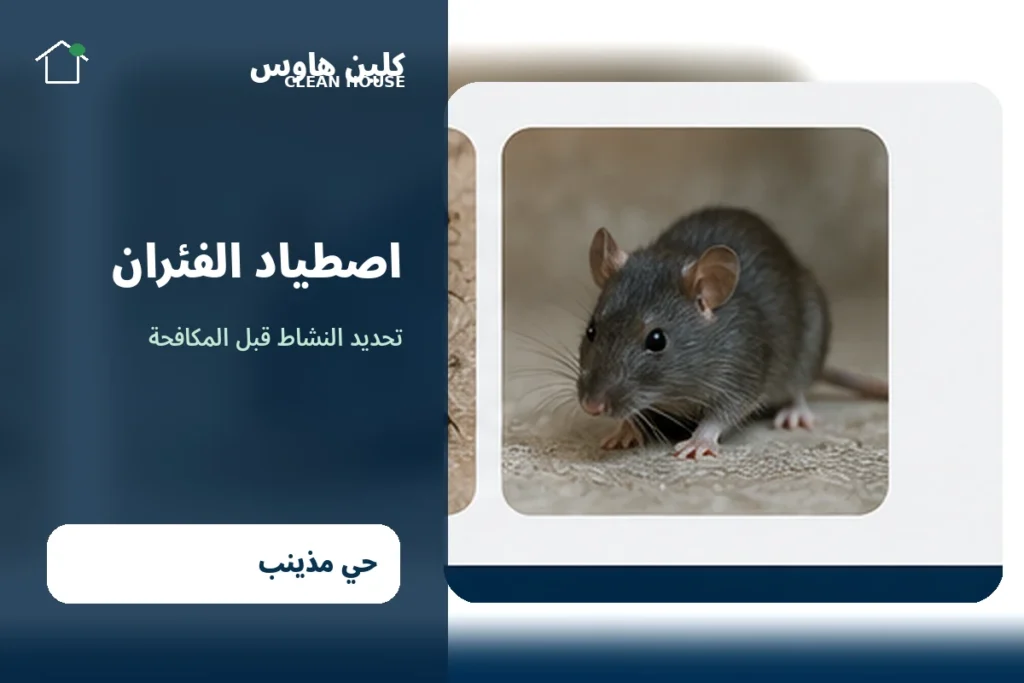 شركة اصطياد الفئران بحي مذينب من كلين هاوس وخدمة مكافحة القوارض