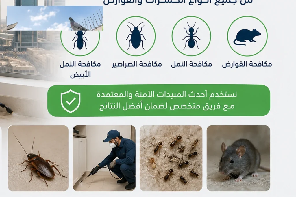 مكافحة الفئران بحي الرانوناء - كلين هاوس