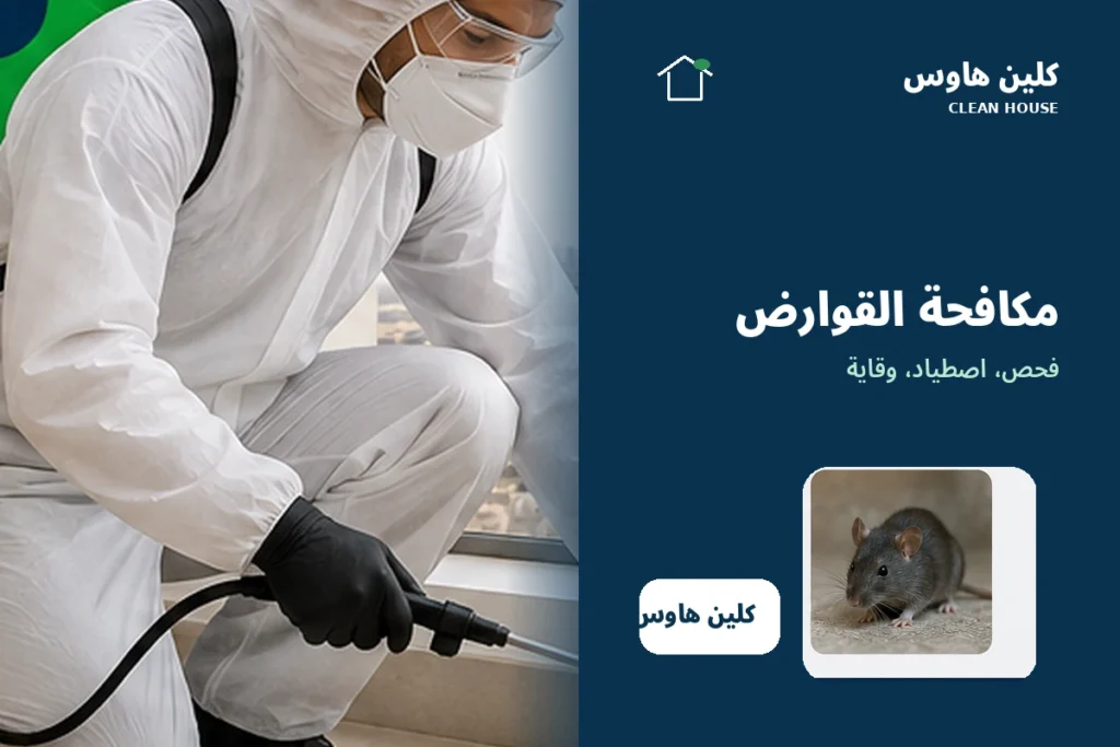 مكافحة القوارض والفئران داخل المنازل بالمدينة المنورة – كلين هاوس