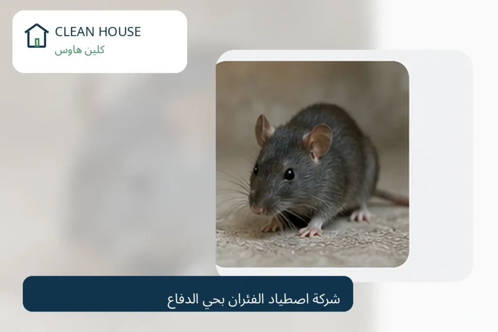 شركة اصطياد الفئران بحي الدفاع - كلين هاوس