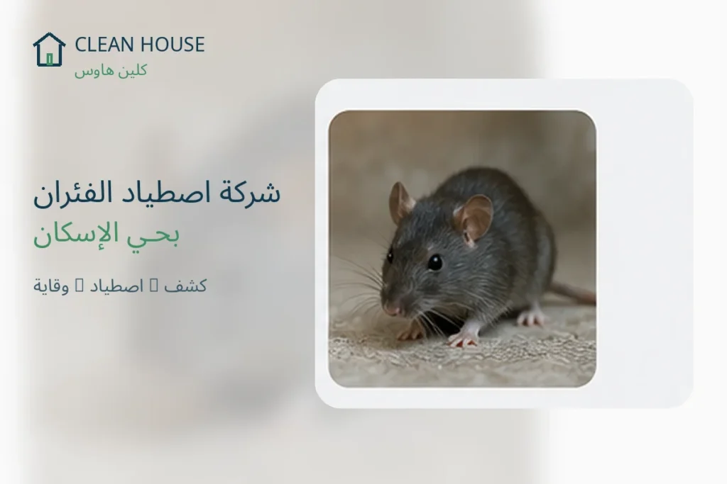 شركة اصطياد الفئران بحي الإسكان - كلين هاوس