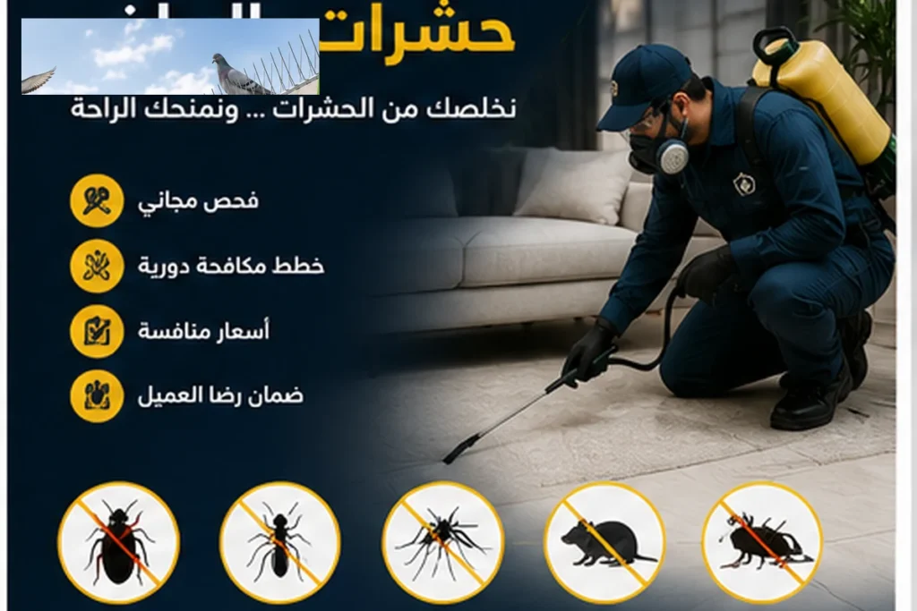 التخلص من الفئران بحي الرانوناء - كلين هاوس